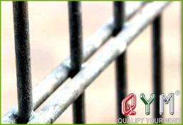 Double rod wire mesh fence