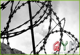 Concertina razor wire fence