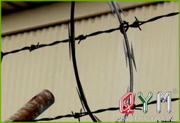 Galvanized razor barbed wire