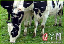 Horse corral fencing