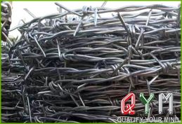 Barbed wire roll for prison