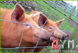 Farm wire mesh fence roll