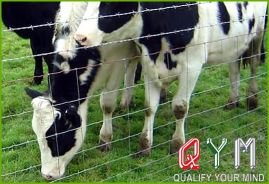 Chicken netting farm fence