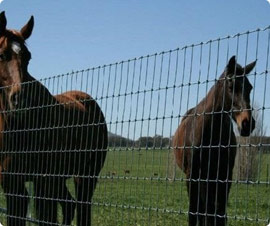 QYM-Farm fence