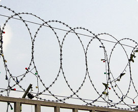 QYM-Flat Wrap Razor Wire