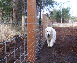 QYM-Farm Fence