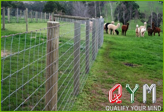 Grassland Fence