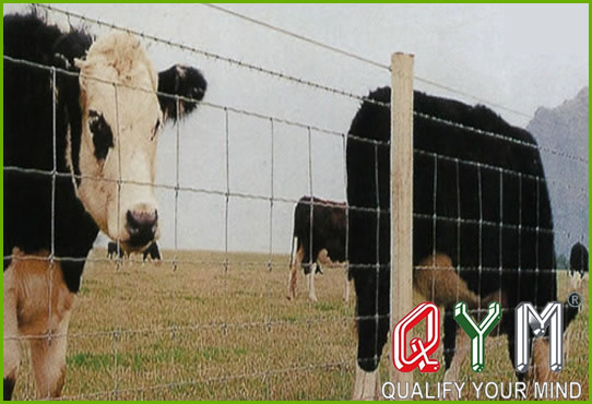 Grassland cattle fence