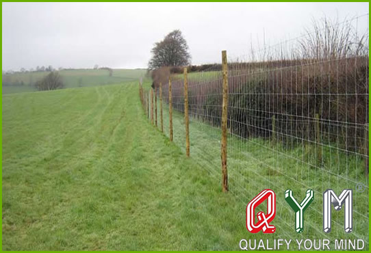 Grassland fence for animal