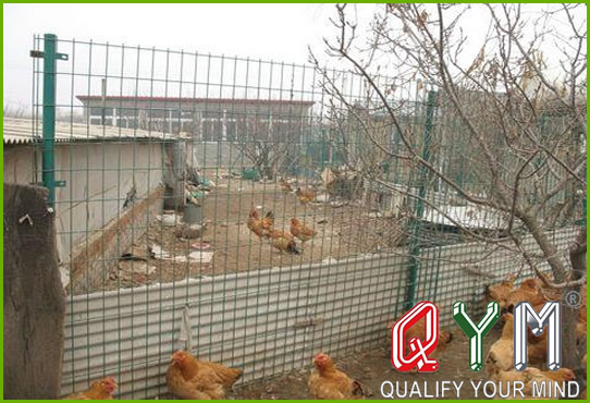 Animal Breeding Fence