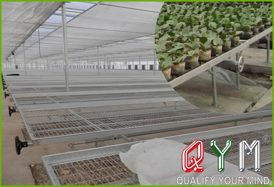 Greenhouse seedbed nets