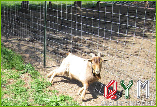 Goat fence panel