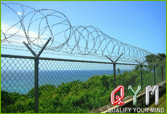Razor barbed wire protect fence