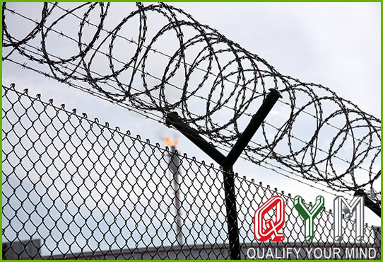 Prison razor wire