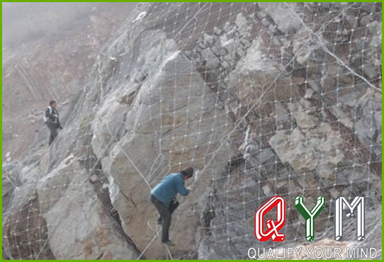 Hillside protection net