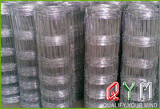 Galvanized grassland fence