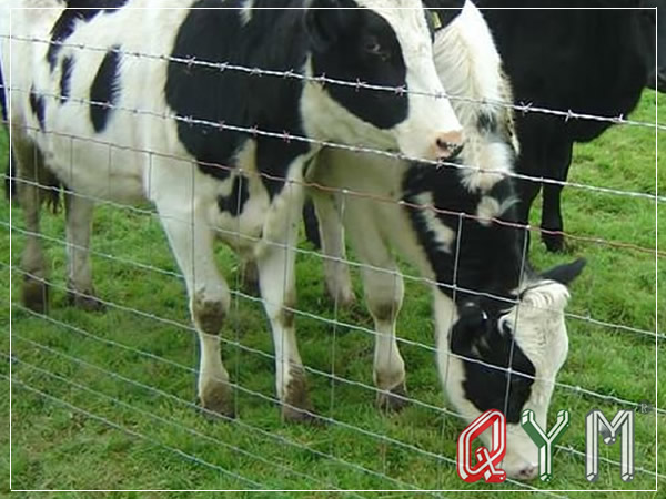 Field fence