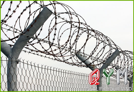 Concertina razor wire fence