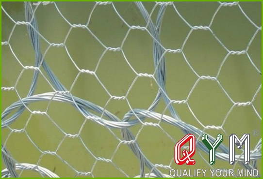 Welded wire mesh