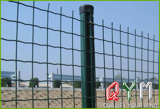 Welded euro mesh fence