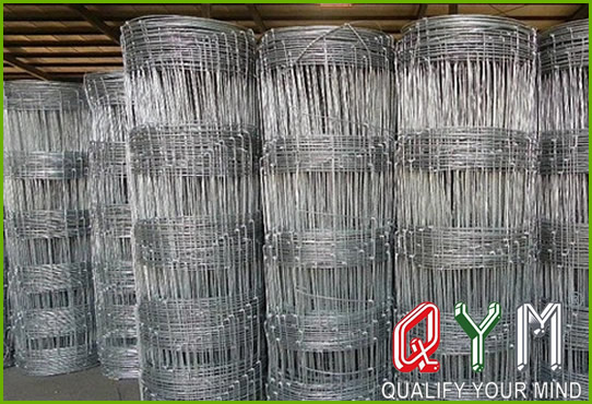 Field wire mesh cattle fence