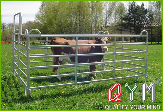 Cattle fence panel